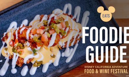 Disney California Adventure Food & Wine Festival 2024 Guide!